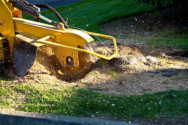 Lawn Irrigation Installation and Maintenance in Hooker, OK